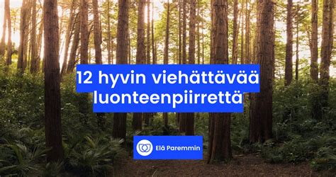 positiivisia luonteenpiirteitä|Luonteen ominaisuuksia, jotka tekevät sinusta。